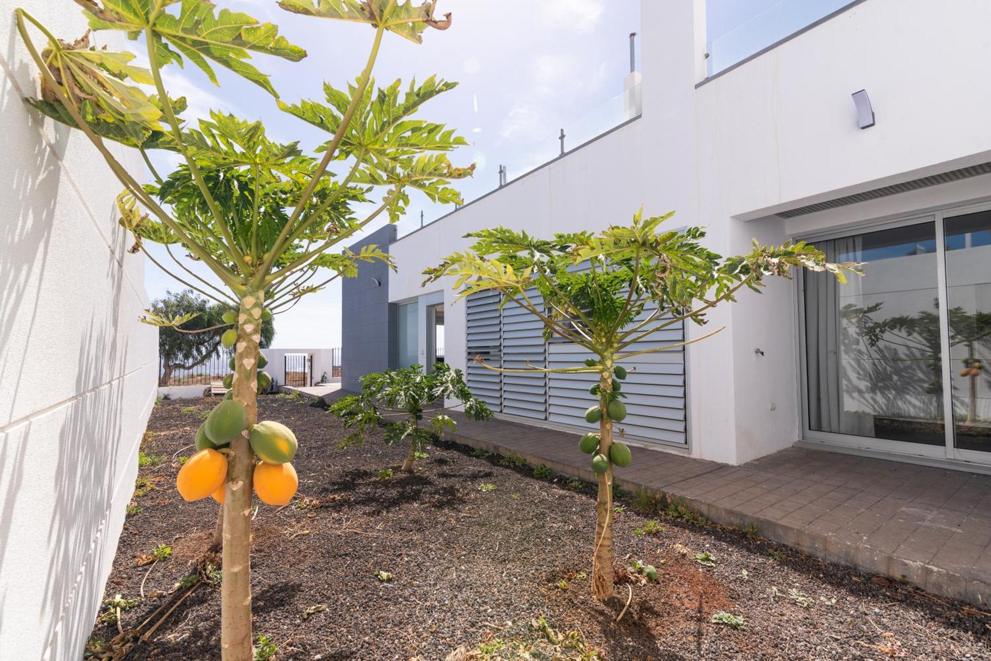 House Near The Beach W Sea View Arico 외부 사진